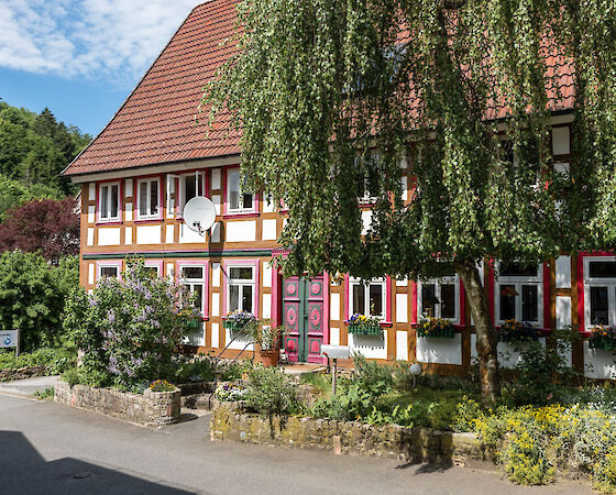 Straßenansicht vor und nach der Sanierung // © Daniel Li Photography